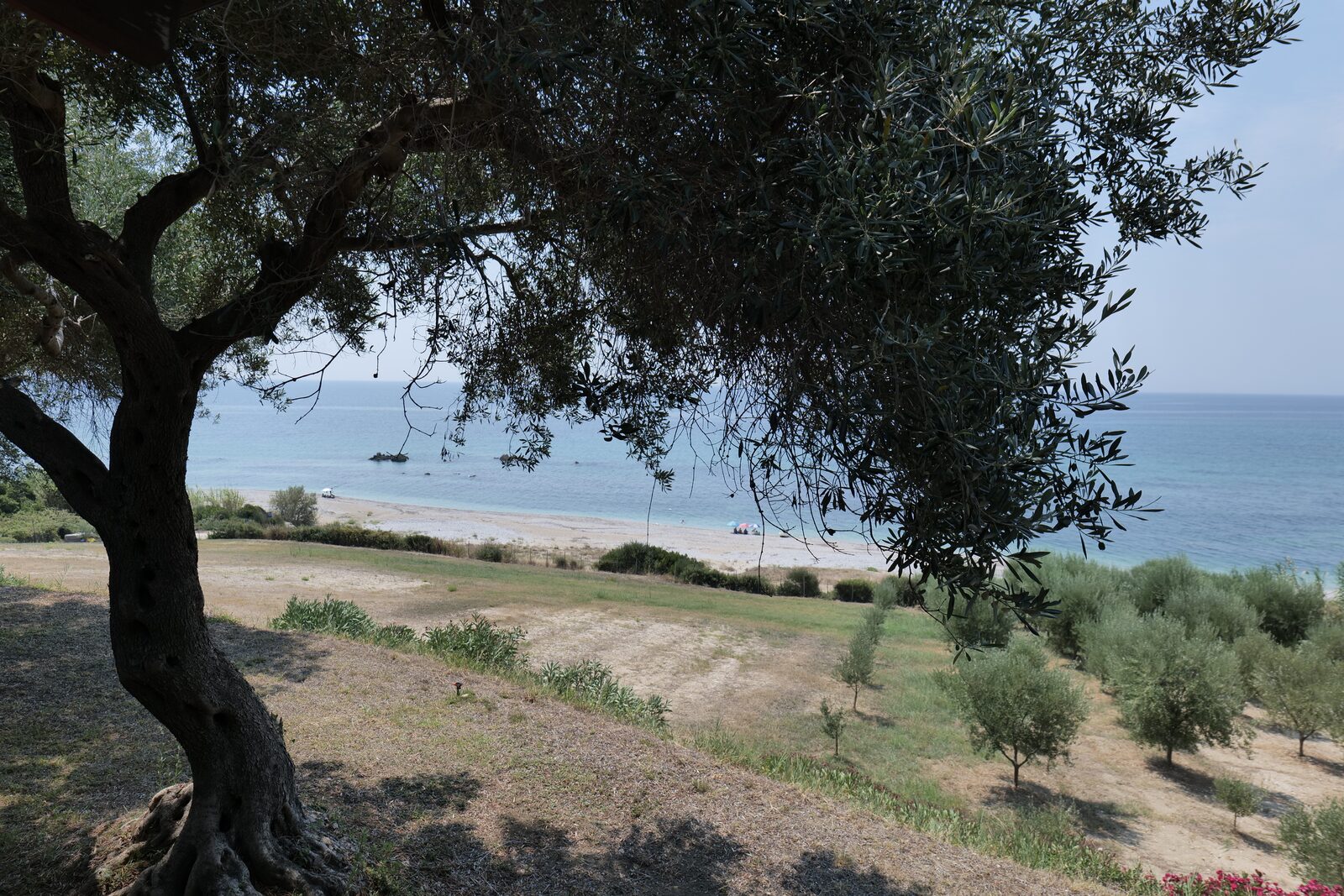 Nature