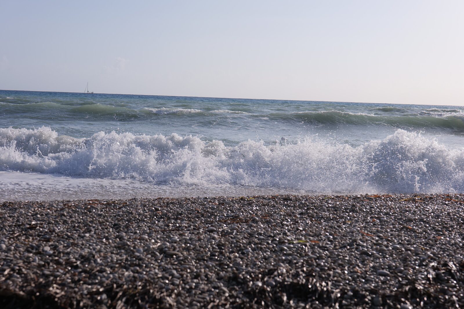 Beach & coast
